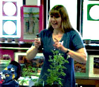 Earthshine Workshops Slideshow Virtual Herb Garden